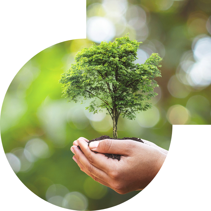 關懷人類、文化、環境與社會